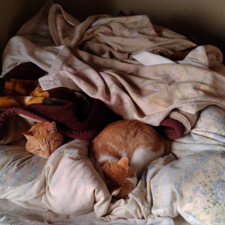 Fd88532c 75d1 46f5 9d7a ba1b42285a1d 1744671275827