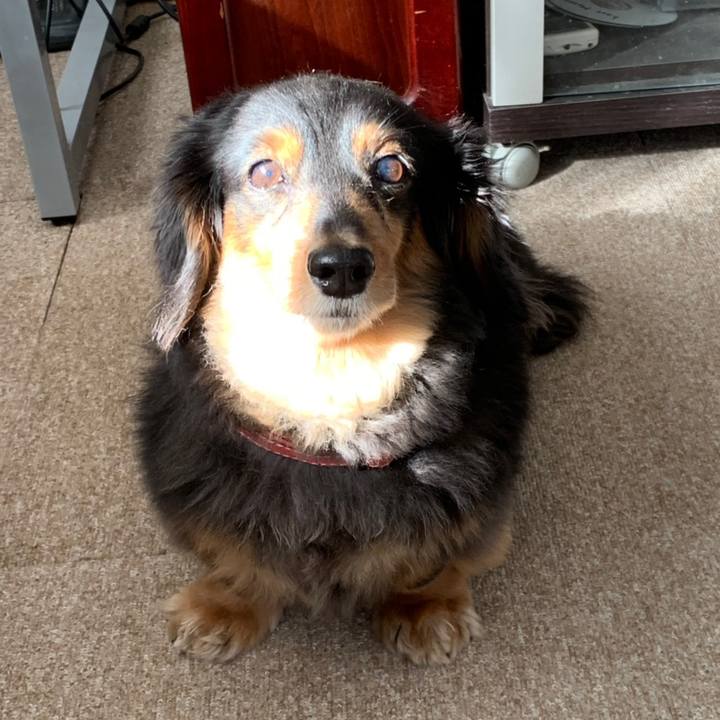 Fd88789c b74b 4910 9965 863fdee62bb9 1558562654118