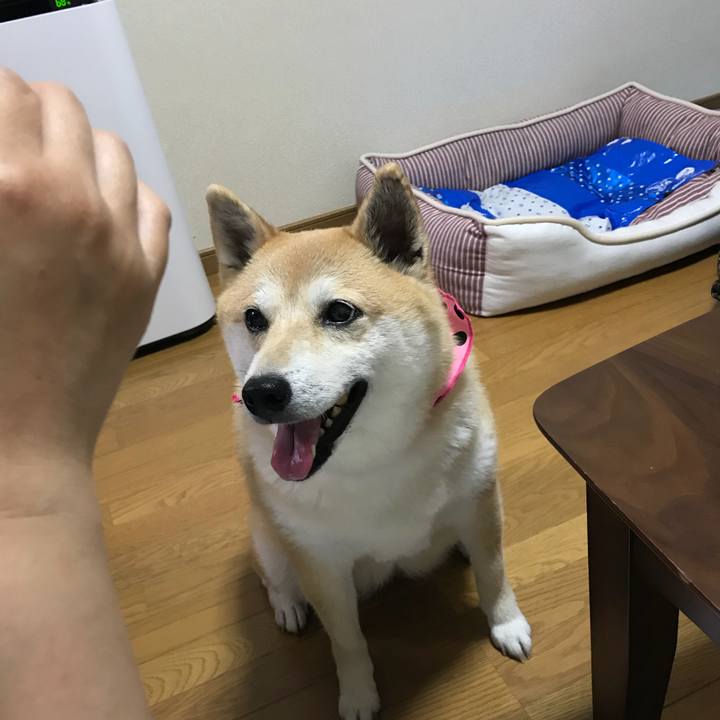 Fd889785 ba9f 4feb 8b8b 51d48b3c6d3c 1527569131040