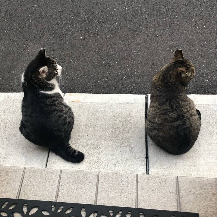 Fd88caa7 cebc 4e9e a05e 4360299f8cf2 1523509649369