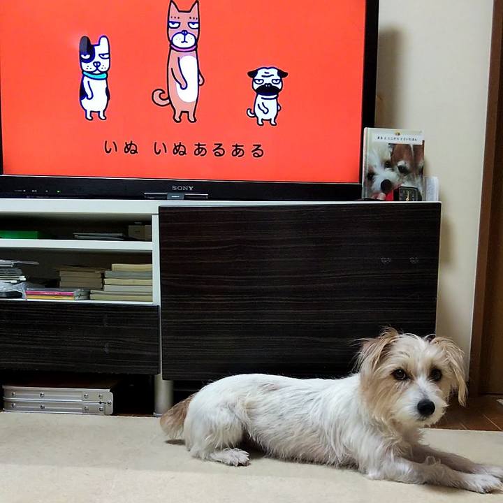 Fd88d541 e473 4dfe 922e 78bf809a594f 1554935758148