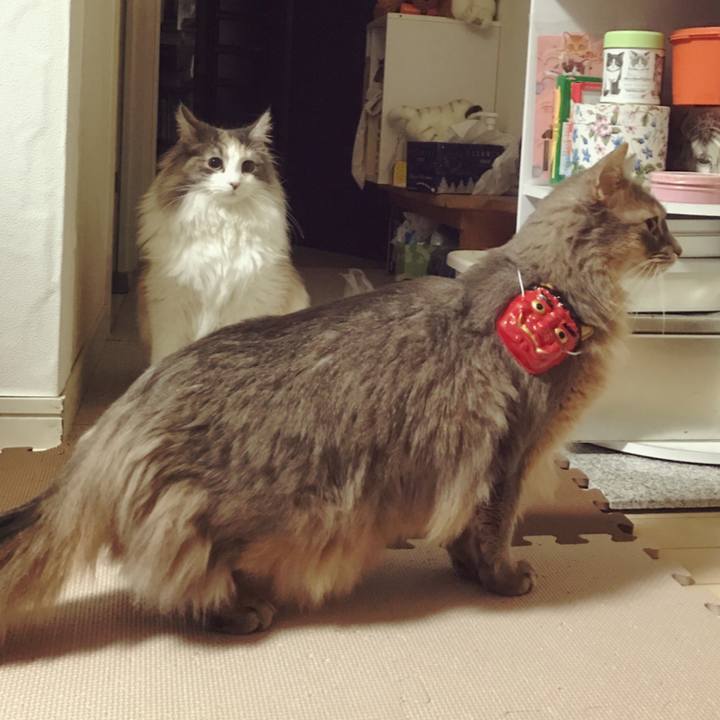 Fd88f883 14f2 449a 9412 d737c4882bde 1517686192054