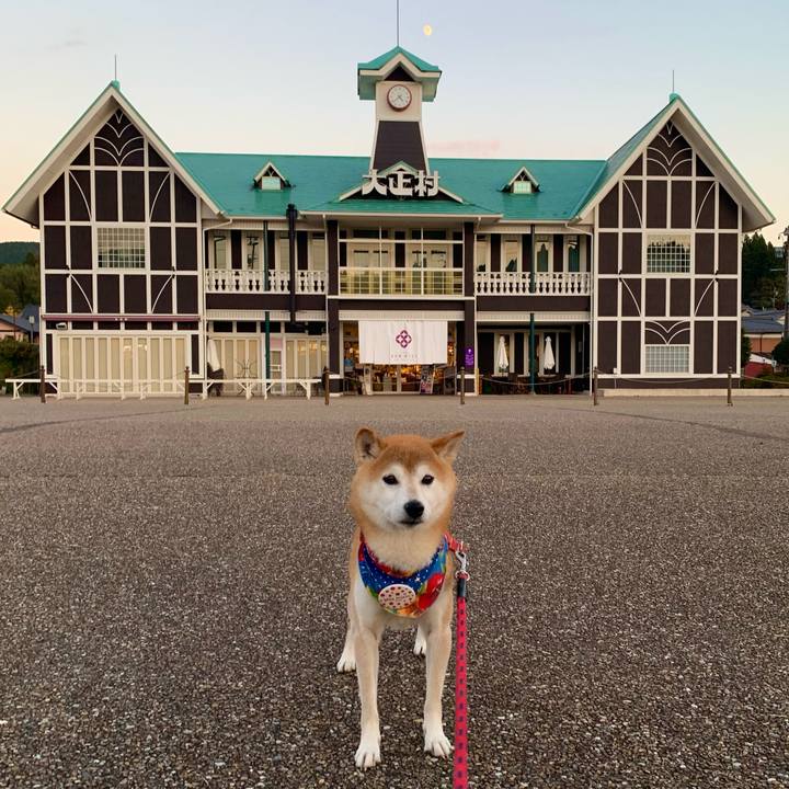 Fd893f3a 6f35 4210 8260 03c0d1968e25 1637148845912