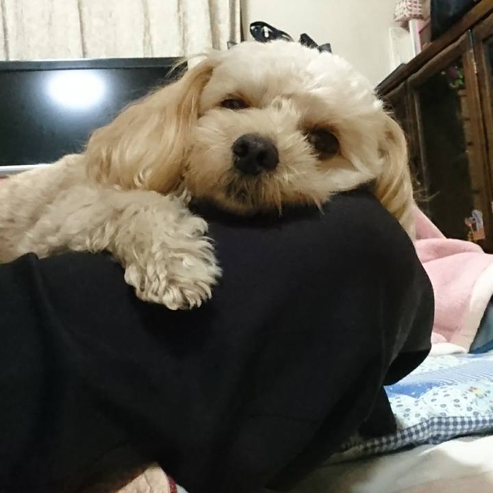 Fd89479e 29ae 4558 b79d 61546cdf0211 1511054558276