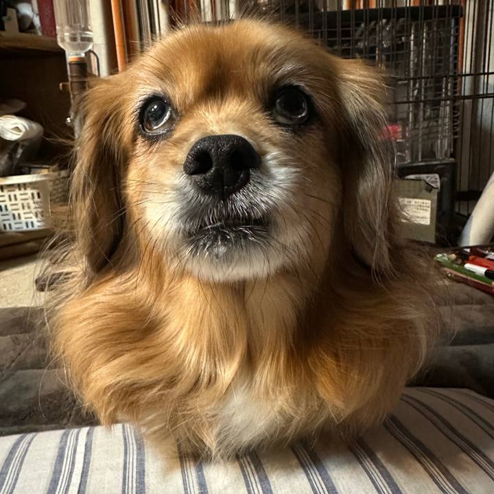 Fd896f67 bdd3 436a bf72 6b3f60751ea4 1738876902004