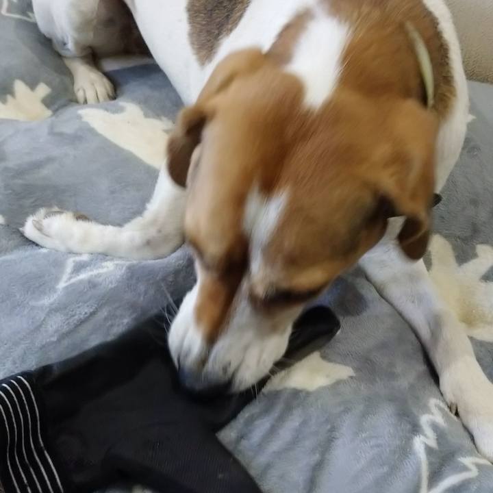 Fd899940 dc22 4d1f 9357 056258c4fc6b 1605947842078