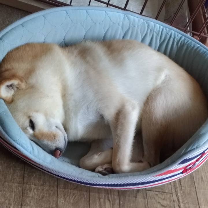 Fd8999db 765f 4791 9f67 666a42e7c8ba 1570419253147