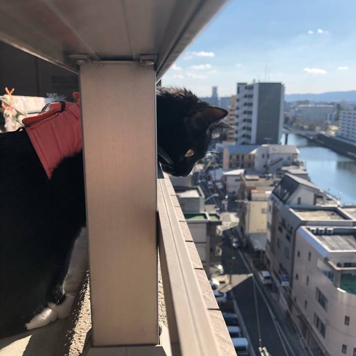 Fd89a49f 7d67 4195 b512 0eefea8e6944 1546234219075