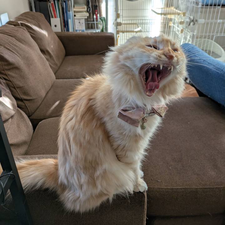 Fd89c93d 6750 4674 a346 3748235117e2 1732348510933