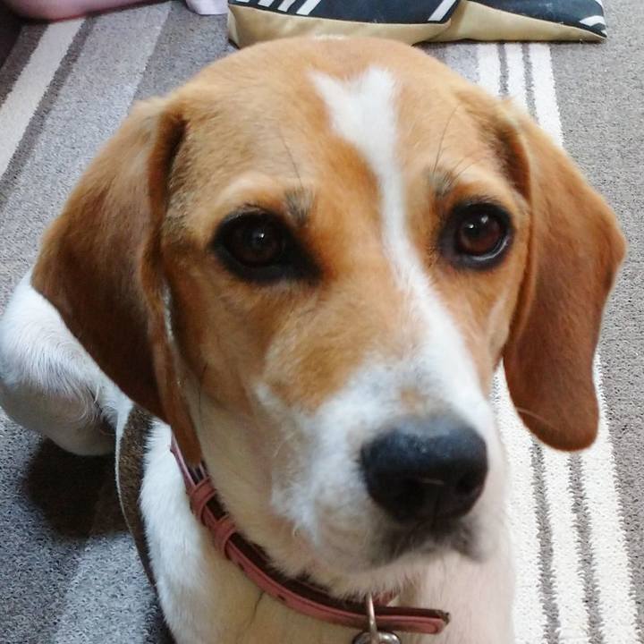 Fd89c983 84e2 4dae 9e1c df6a442ac94c 1597807653954