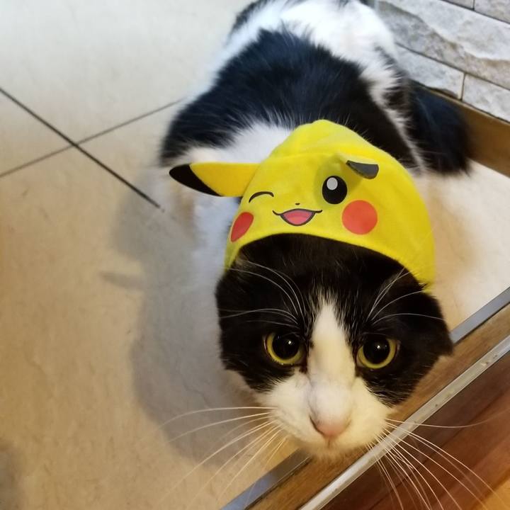 Fd89e212 d211 4003 9906 56dfacd0c723 1550872127876