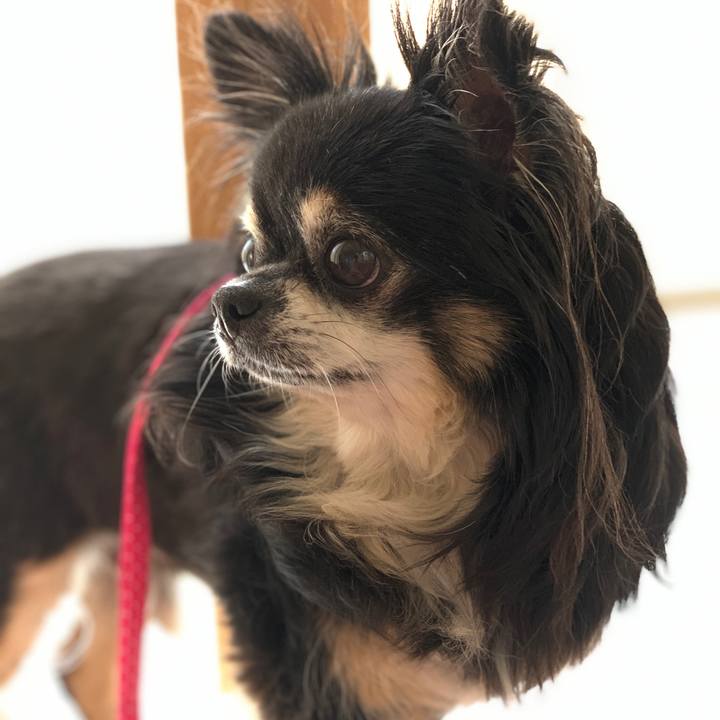 Fd8a1c81 10e7 4aed 8ea7 fb36928243c2 1561617476299