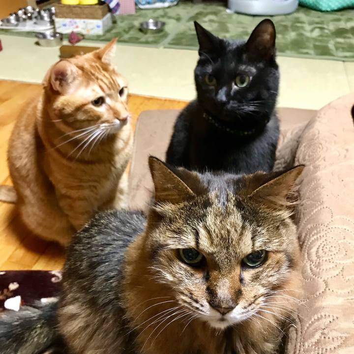 Fd8a2b9a ce42 4d96 a474 0799df942a82 1511353318189