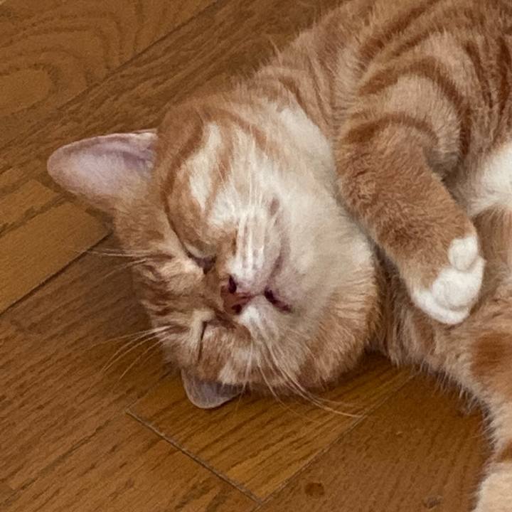 Fd8a3274 cfd6 44c9 bb9a 8d730f19dc36 1656493129012