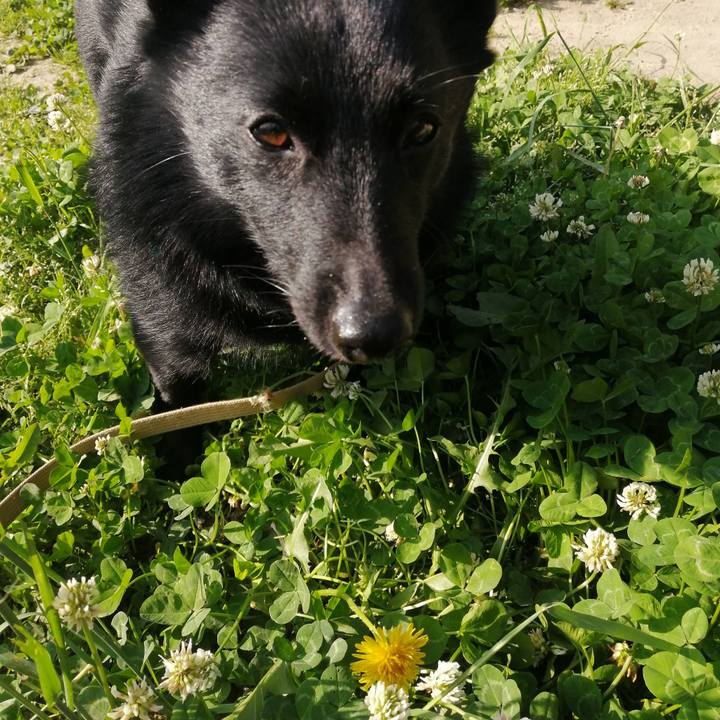 Fd8a57bf 4b06 42fd 9260 31a131ac259e 1651963203601