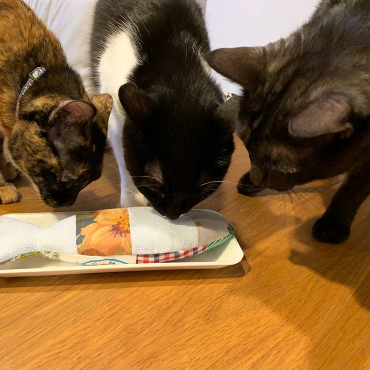 Fd8a7947 ef20 4550 b549 abd2e2be6446 1574083913066