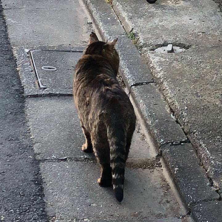 Fd8a92b1 63cb 465c ad31 d6d747ae0f38 1520002793053