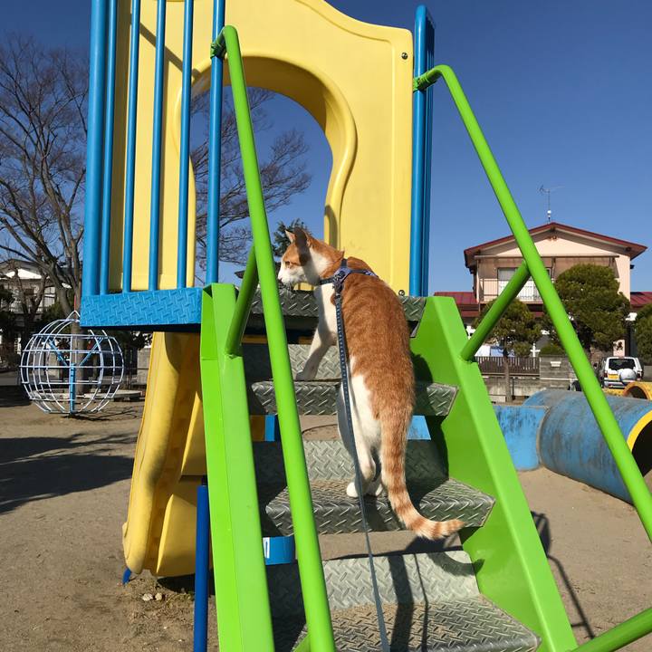 Fd8acd3c a3e0 401c ac7c 0e718cfb9351 1511760522860