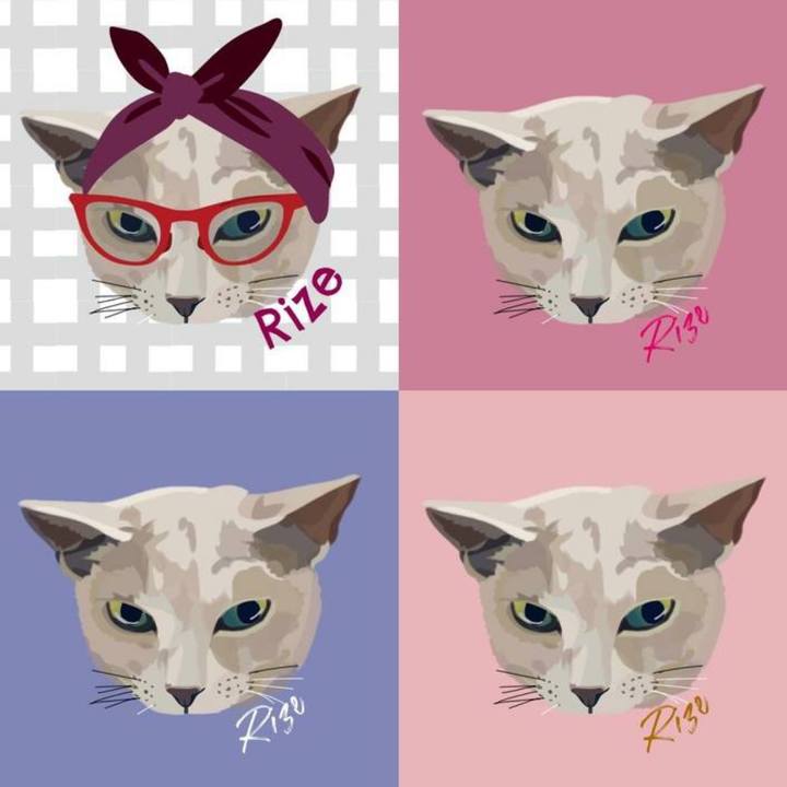 Fd8ad1d1 36f2 4f64 bae1 9e4e0f151763 1637725142883