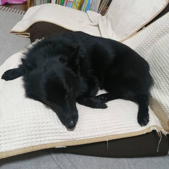 Fd8adb74 363a 457c ac52 4ae500aa845c 1631978359007