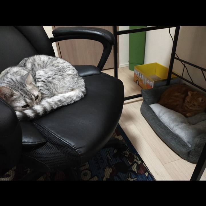 Fd8b358a 4e82 4eef 9d07 4470a432223d 1603428185196