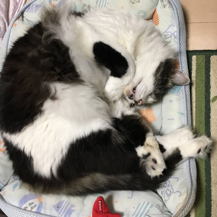 Fd8b63b8 a509 4be3 ae1d 63995a1ac824 1567762579858