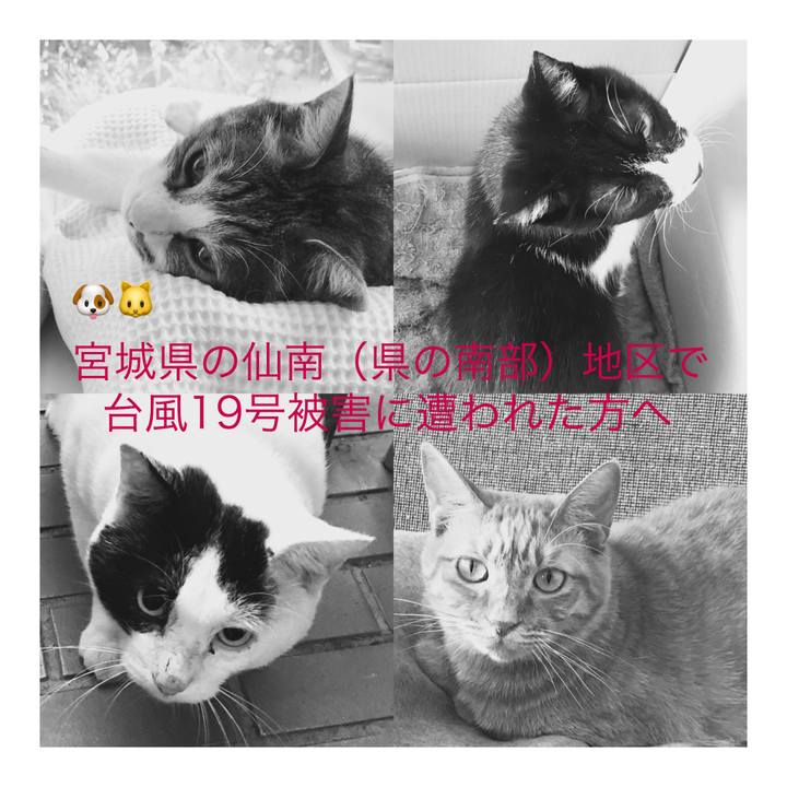 Fd8ba55d 32b3 4b23 939b e24d2326753c 1571886313154