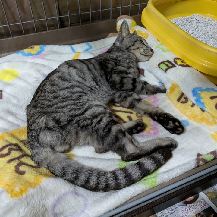 Fd8bbafe ecd5 4fd2 a854 c47af9a73b3c 1744469978978