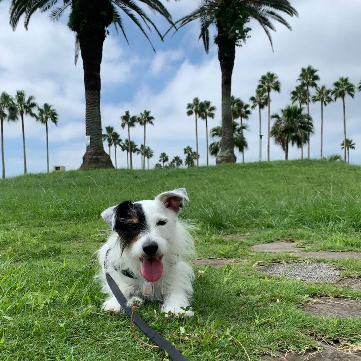 Fd8c0c0f d596 4bb3 b4ca a8bd582c09e7 1662167304458