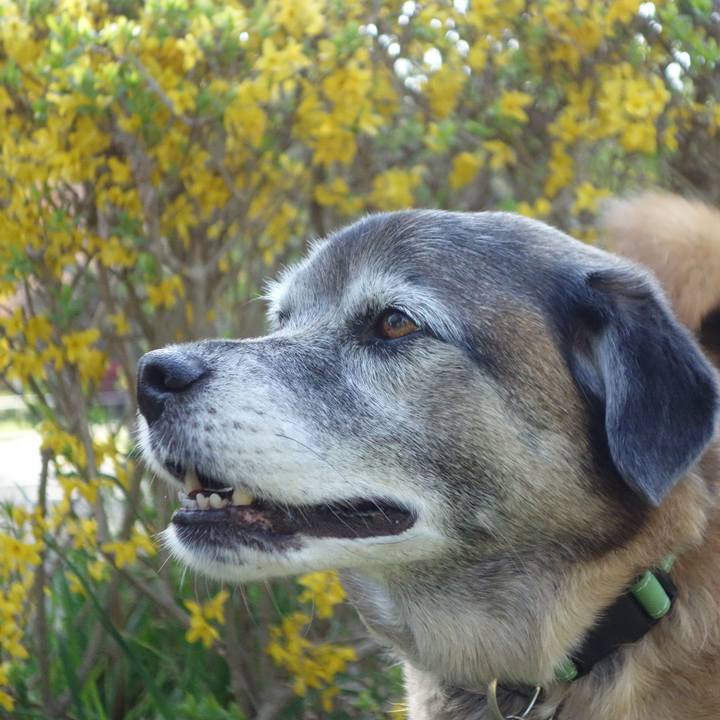 Fd8c82d4 f15b 42f4 856c eea7b656d0b0 1554513977952