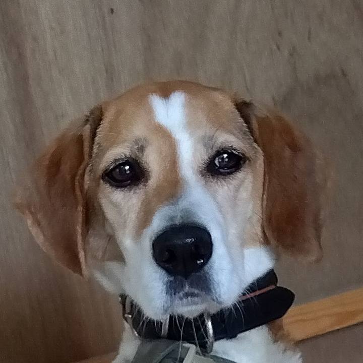 Fd8c8886 cbaa 4797 b3ae 46b30a31ff8c 1688035141999