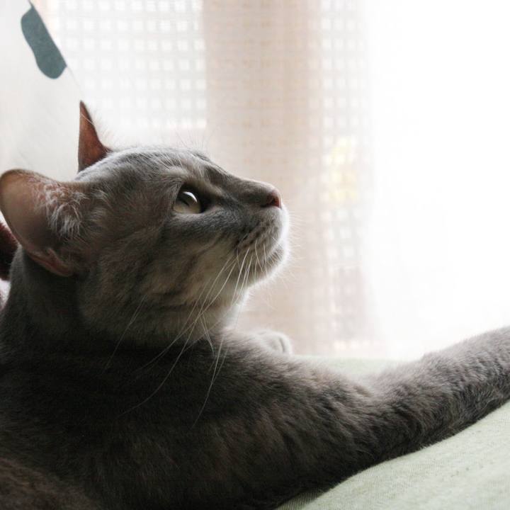 Fd8c94ba 8dc3 4f05 b32f e2a46f32087b 1521548619333