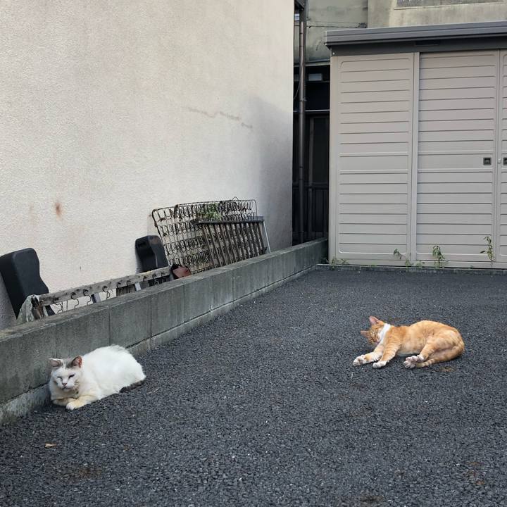 Fd8c9576 9d84 44ad 8a19 2231a98d5860 1569072956752