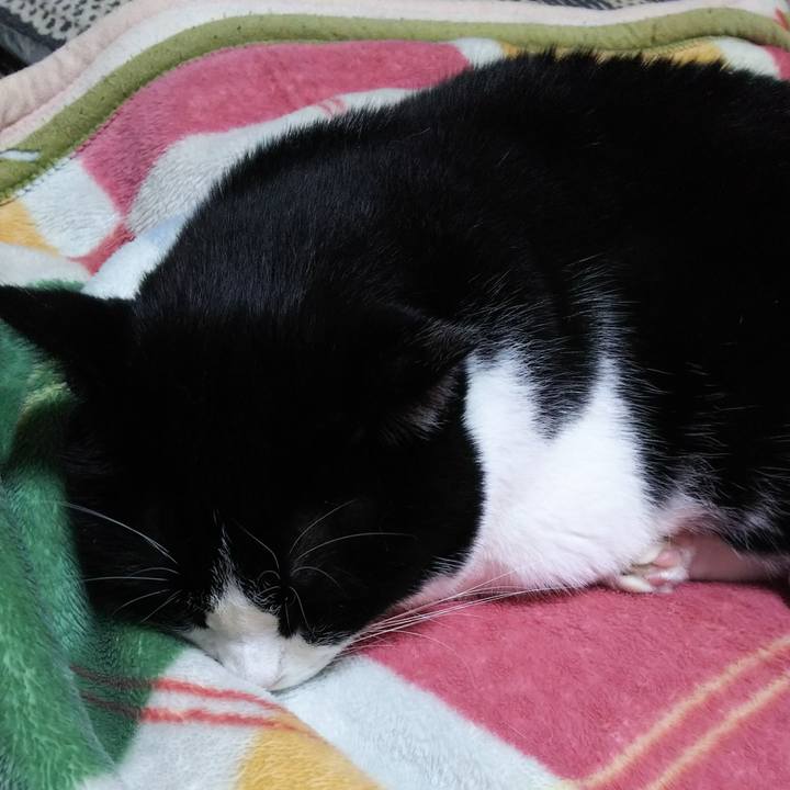 Fd8caa9a d2f7 46ff b13c f7c9859d918c 1540849953789