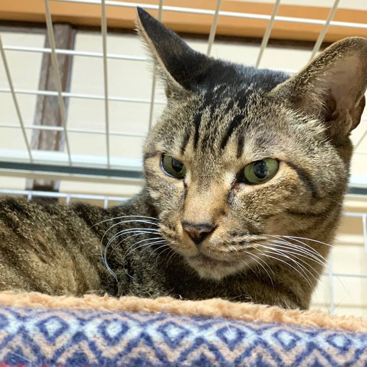 Fd8cca1c 275d 45f4 9e13 9bc6ac5252f5 1548377436472