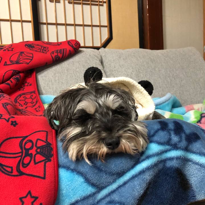 Fd8cd45a cfc5 4408 bff2 21f4f20572e5 1584374687524