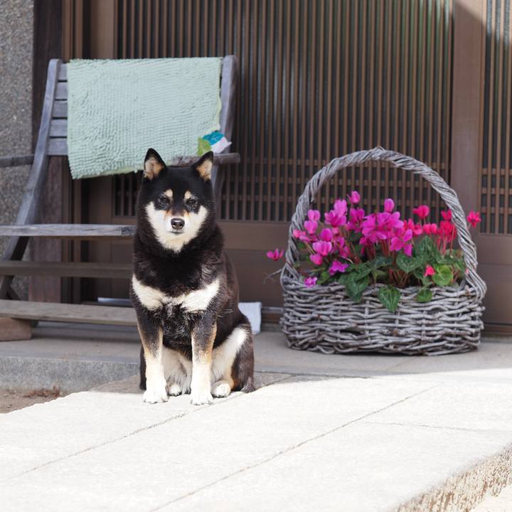 Fd8ce480 d13f 4107 9483 1d684491237f 1771815090208