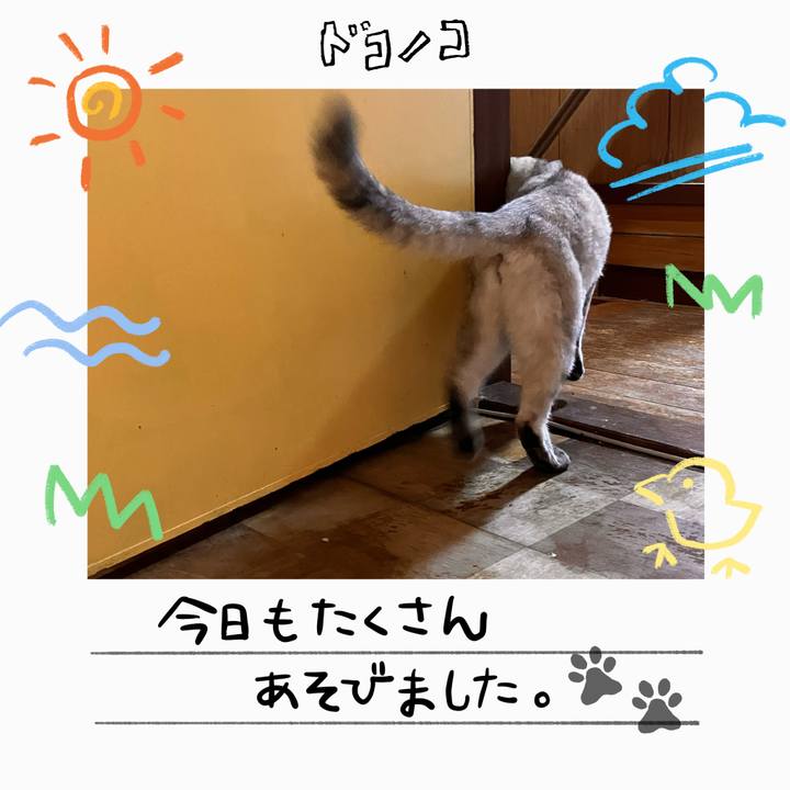 Fd8d0836 14da 4763 8a2b 4e36c117151b 1755064711993