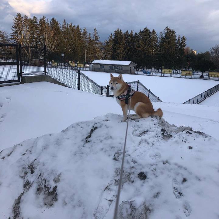 Fd8d0a0f 6e41 4dfe 8724 9b3da7ec7bf7 1576455368986