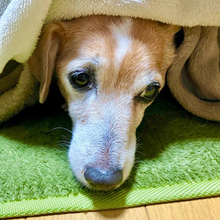 Fd8d0a2f f5d4 49e8 8a87 680939b2b67e 1705500305586