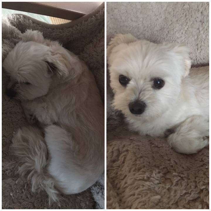 Fd8d1522 b3b6 4775 bb4d 721443414d84 1541575767728