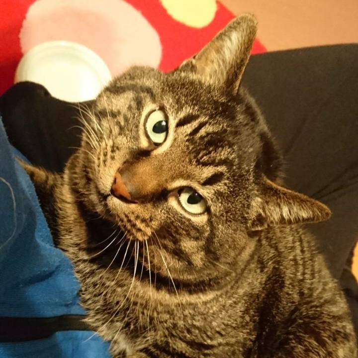 Fd8d22a1 eca7 4de2 bac2 e680c64137bf 1520201304568