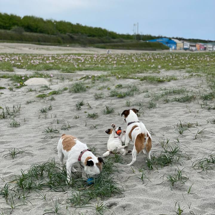 Fd8d32b3 a127 45ac b4fe b34156630f32 1622940694992