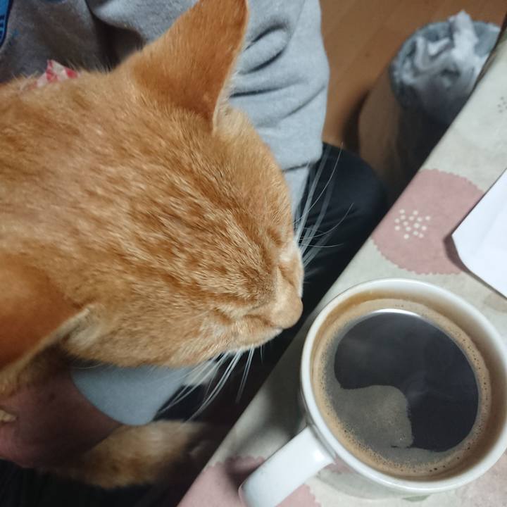 Fd8d404d fe88 4548 bb1d 636e63dbdf54 1605555625235