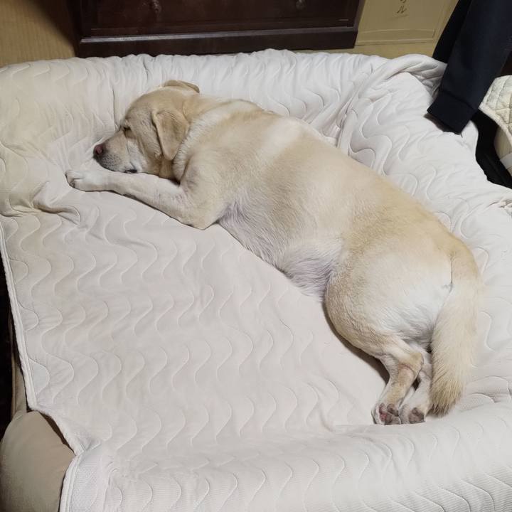 Fd8d50e7 d766 41b3 bfd4 a57a1477a499 1664425097735