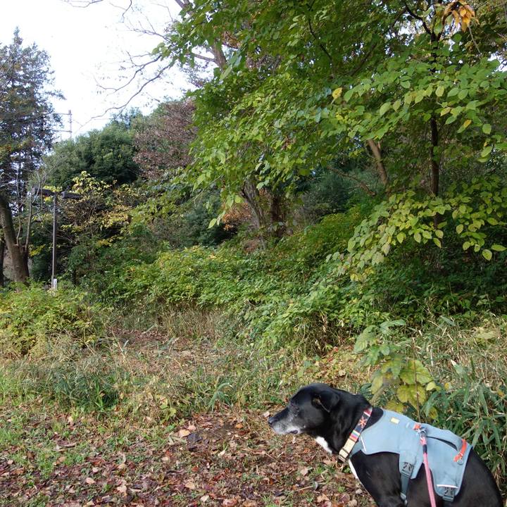 Fd8d5cc0 d021 4dca 8f3b c0d8a9df8ac1 1733097894976