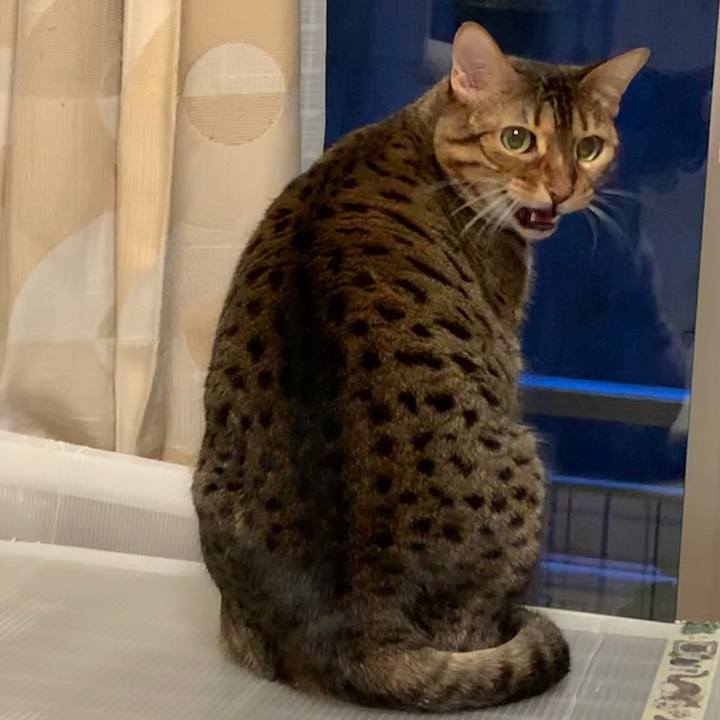 Fd8d6a5c 3835 4ae7 b730 e5f546b14361 1583020043622