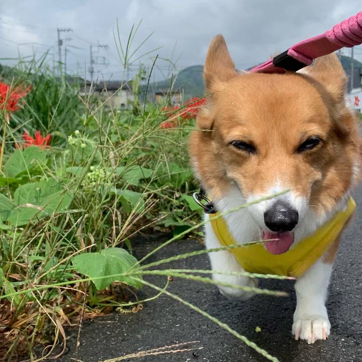 Fd8d715e 2851 49f5 b929 5427ec537fea 1696131921169