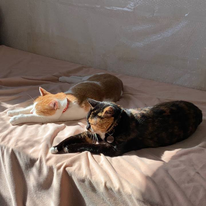 Fd8d93a9 46c0 4887 a297 59e27777bf8d 1581384191760