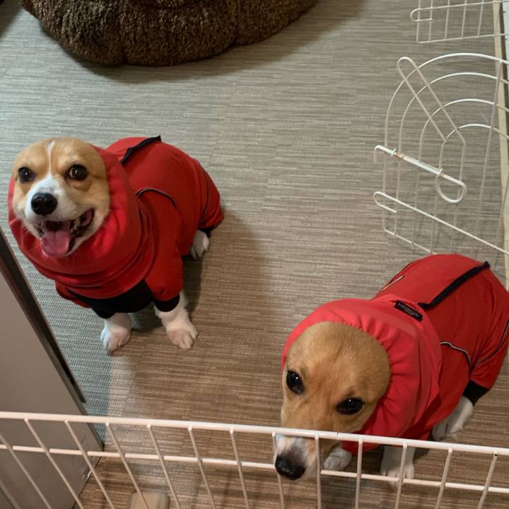 Fd8d9ac4 13df 4d47 824d 93d2ac7926ad 1594290528971